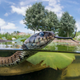 “Jack Perks”: British Waters Wide Angle Award Runner Up